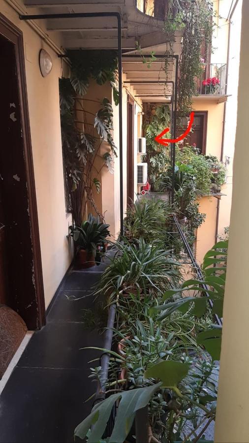 Charme De Rome Vatican Apartment Roma Exterior foto